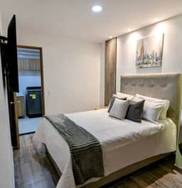 501S Estilo y Confort en Ibagué - Image 2