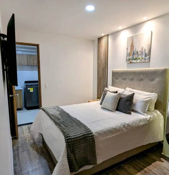 501S Estilo y Confort en Ibagué - Image 2